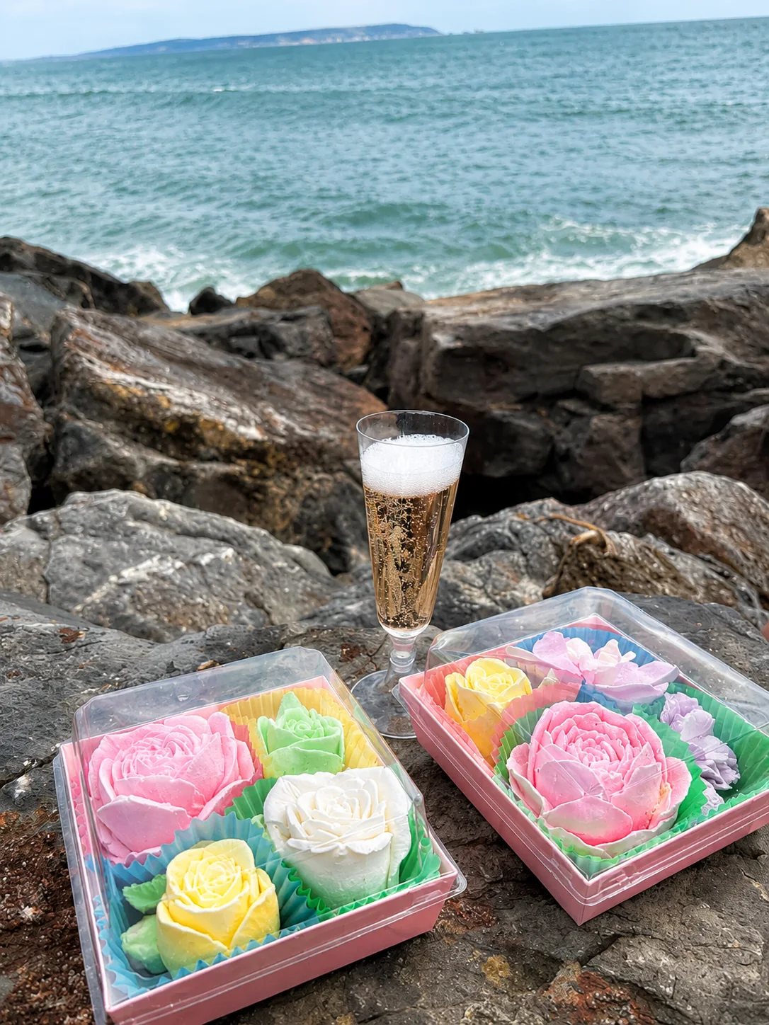 Colourful marshmallow flowers enjoyed beside the sea
